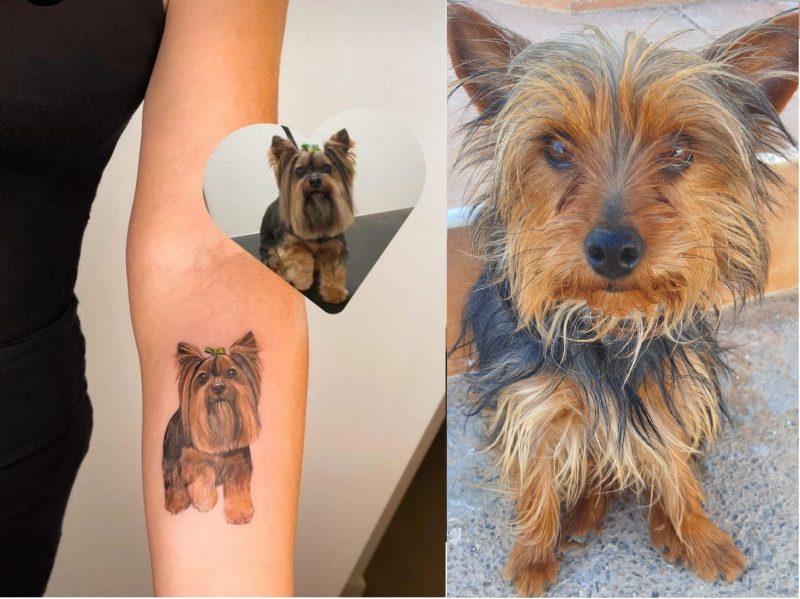 Transporte de mascotas a Barcelona con la&nbsp;propietaria