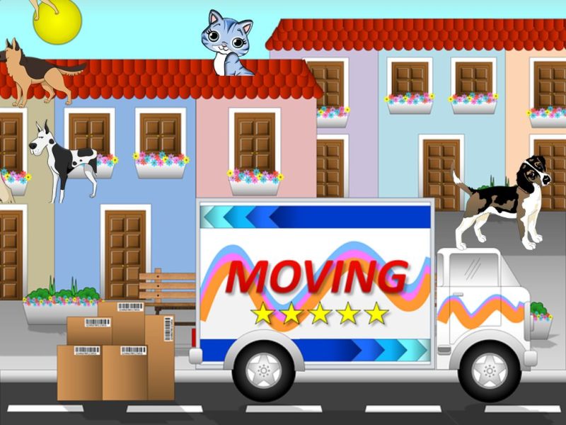 mini mudanza con mascotas y dueño