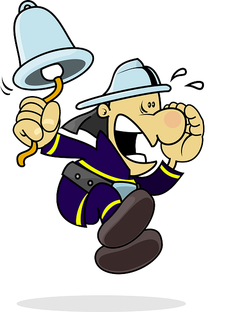 Mini mudanzas urgentes