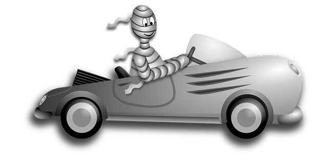 Transporte privado de personas en Valencia