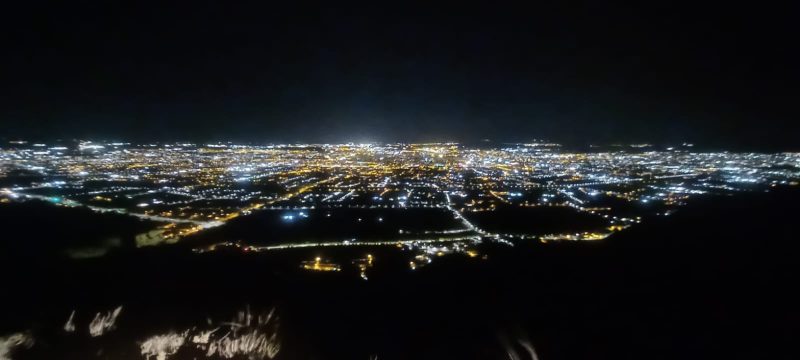 cresta del gallo de noche arrecife de coral murciano
