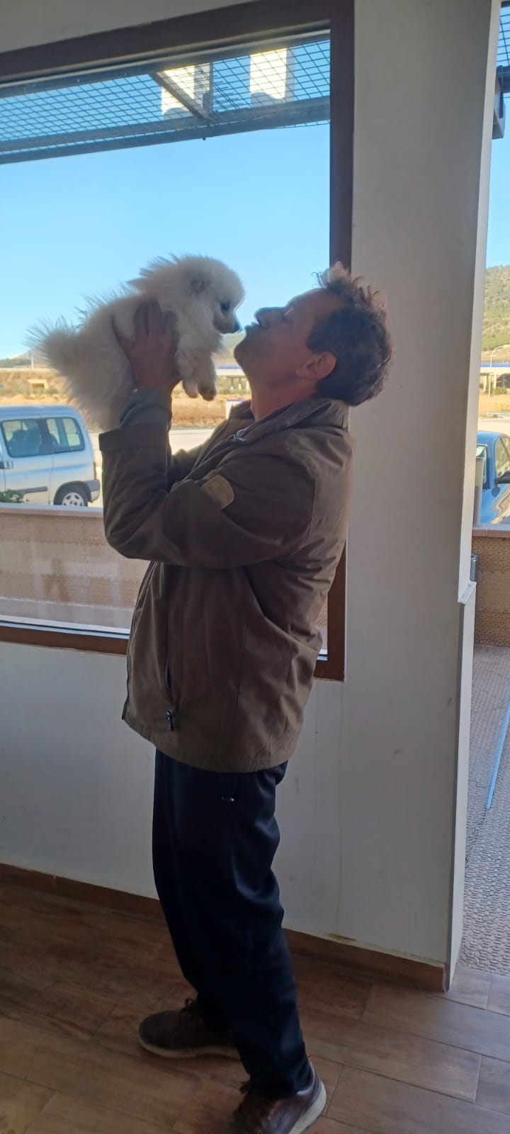 transporte pomerania a Valencia en bla bla car