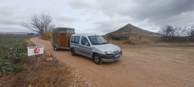 transporte de remolque de caballos de Albacete a Zaragoza
