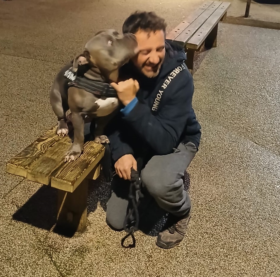 transporte de una mascota a Alemania por carretera